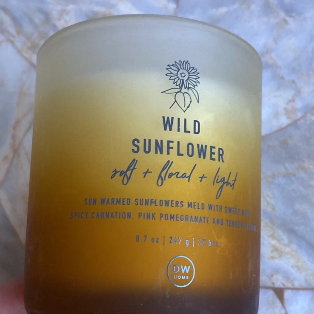 Fall‎  Wild Sunflower